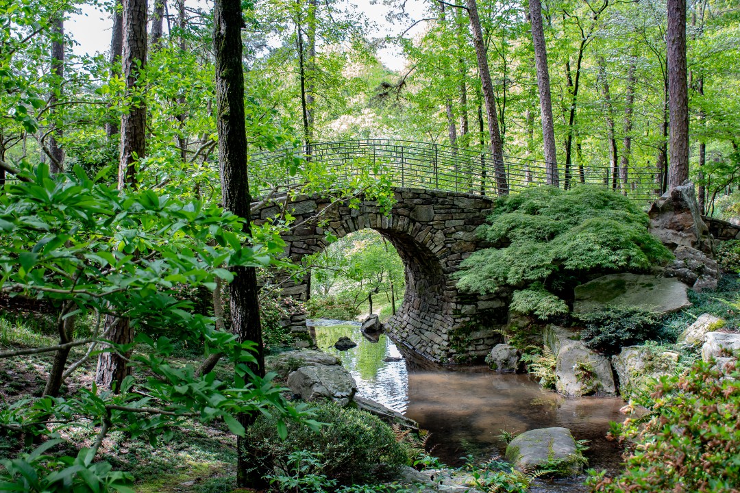 hiking trails in Eureka Springs